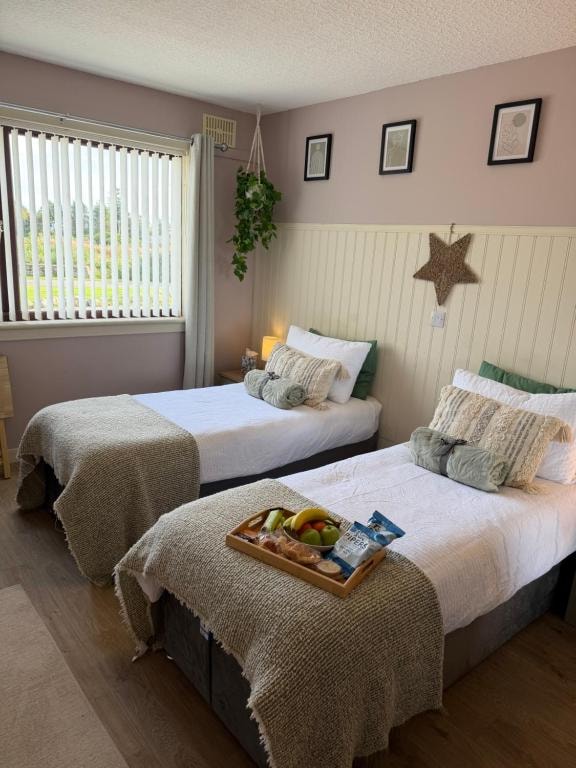 Two single beds with a fruit tray in a Carnegie Lodgings bedroom